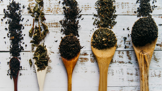 Thé noir, thé vert, the blanc, thé oolong, thé rooibos, tisanes