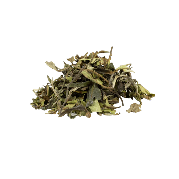 China Pai Mu Tan Organic White tea