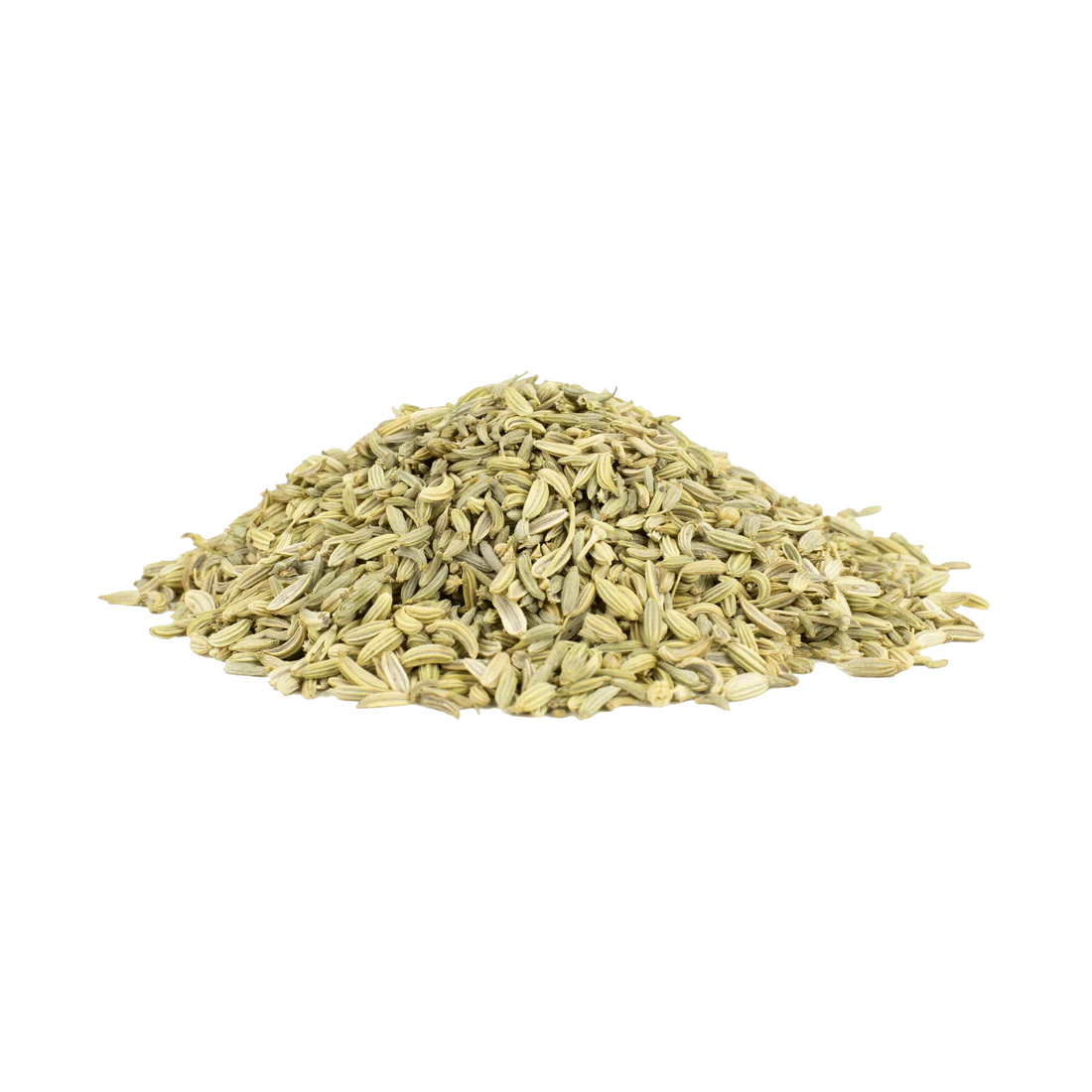 Fenouil Bio