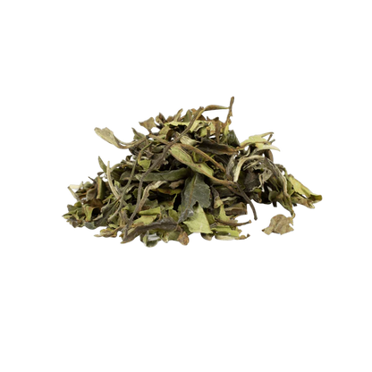 China Pai Mu Tan Organic White tea
